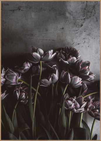 Dunkle Tulpen | Plakatbrett