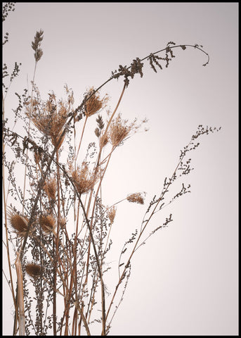 Everlastend | Plakatbrett