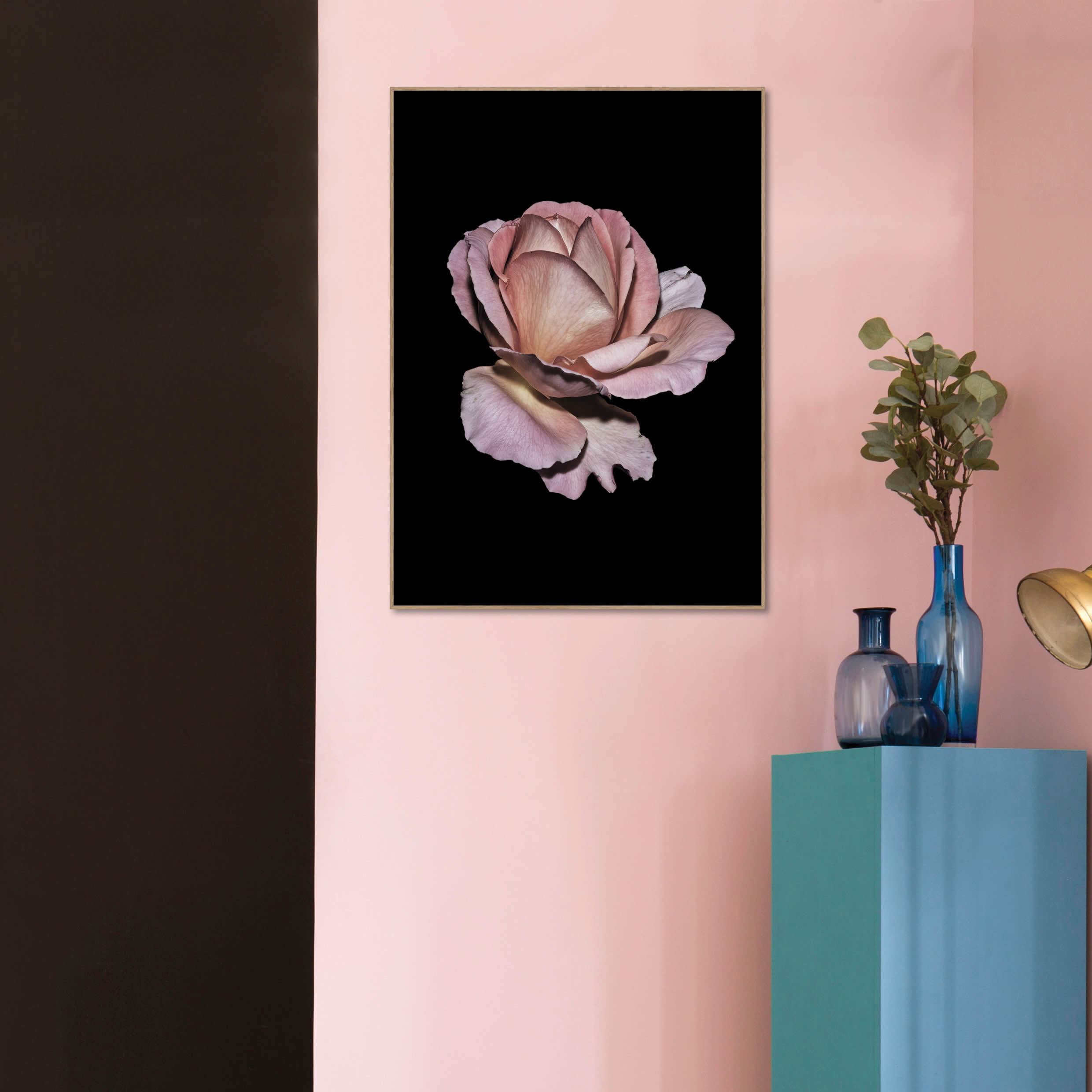 Rosa Rose | POSTERBAND