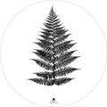 Farn schwarz | CIRCLE ART