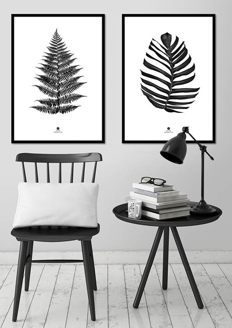 Farn schwarz | POSTER