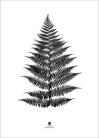 Farn schwarz | POSTER