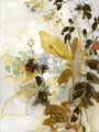 Blumenschwanz 1 / 60x80 cm