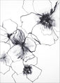 Blumenlinie 2 | POSTER