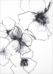 Blumenlinie 2 | POSTER
