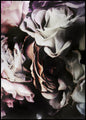 Blumenzauber 2 | POSTERBAND