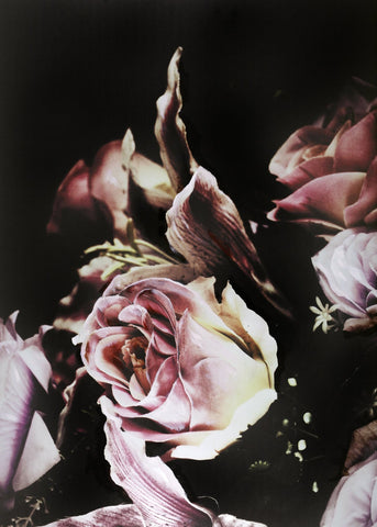 Blumenmagie 3 | POSTER