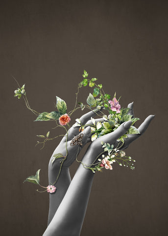 Blume Passion | POSTER