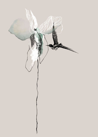 Blume | POSTER