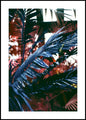 Funky Dschungel 2 | Plakatbrett