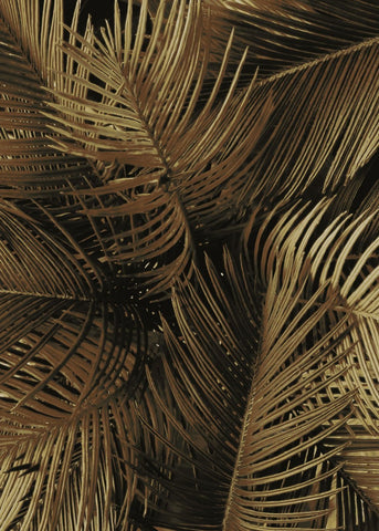 Goldene Palme 2 | POSTER
