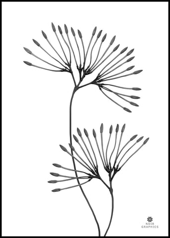 Gnade | POSTERBAND