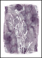 Gras 1 | POSTERBAND