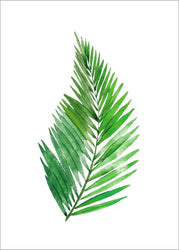 Grüne Pflanzen 13 | POSTER