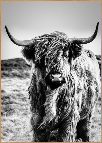 Highlander | Plakatbrett