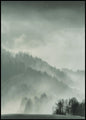 Heiliges Land | POSTERBAND