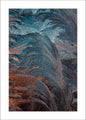 Eisblume 1 | POSTER