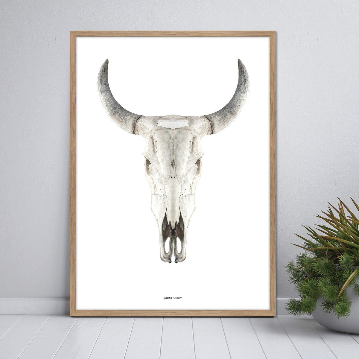 Kuhschädel | POSTER