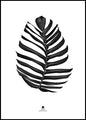Dschungelblatt schwarz | POSTERBAND