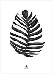 Dschungelblatt schwarz | POSTER
