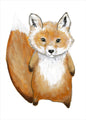 Kleiner Fuchs | POSTER