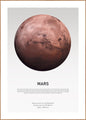 Marslicht | POSTERBAND