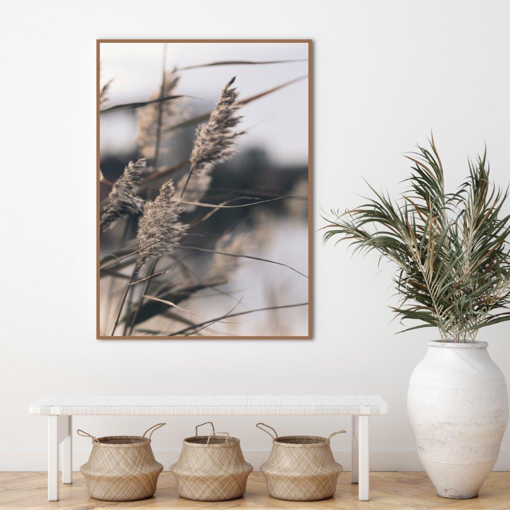 Mellow Gräser 3 | POSTER