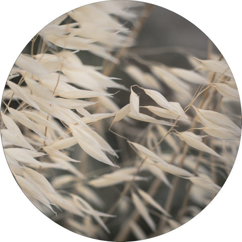 Mellow Gräser 4 | CIRCLE ART