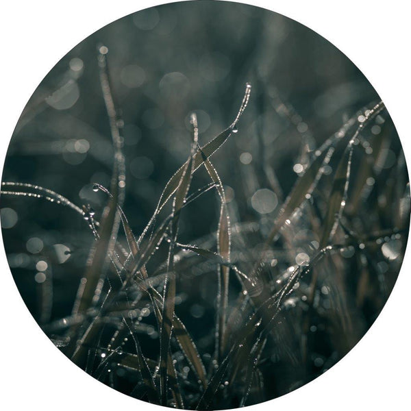 Zachte grassen 5 | Circle Art