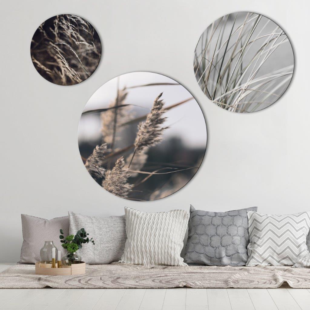 Mellow Gräser 7 | CIRCLE ART