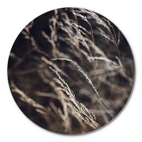 Mellow Gräser 7 | CIRCLE ART