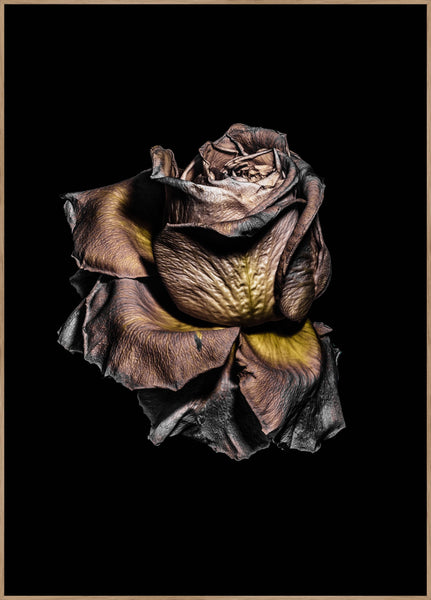 Metallic Rose | Plakatbrett