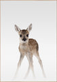 Nebelhirsch | POSTERBAND