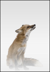 Nebliger Fuchs | Plakatbrett