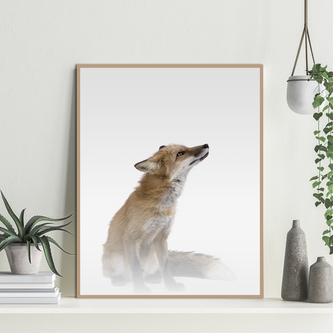 Nebliger Fuchs | POSTER