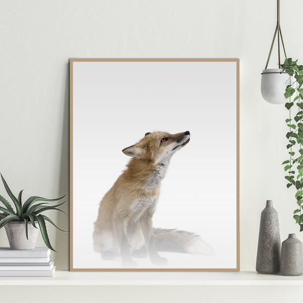 Nebliger Fuchs | POSTER