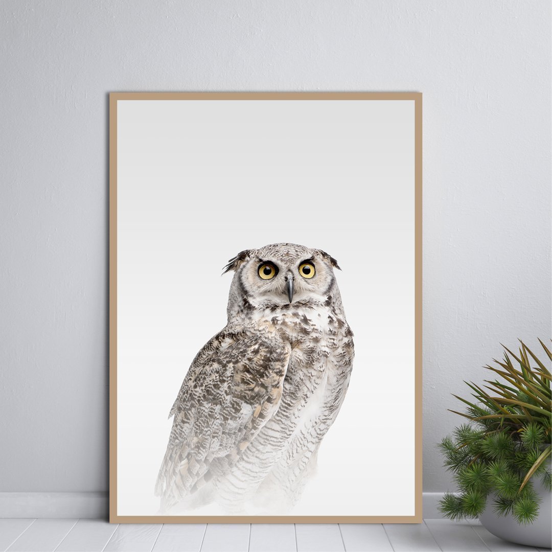 Nebeleule | POSTER