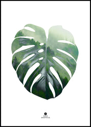 Monstera Leaf | Plakatbrett
