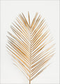 Palmblattgold | POSTER