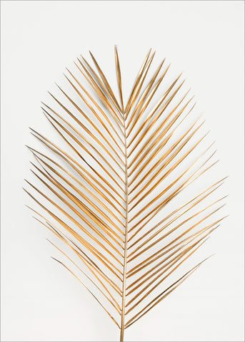 Palmblatt Gold | POSTER