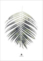 Palmblatt | POSTER