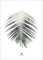 Palmblatt | POSTER