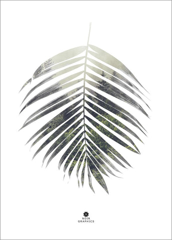 Palmblatt | POSTER