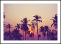 Palmenhimmel 1 | POSTERBAND