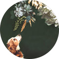 Haustier Couture 1 | CIRCLE ART