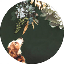Haustier Couture 1 | CIRCLE ART