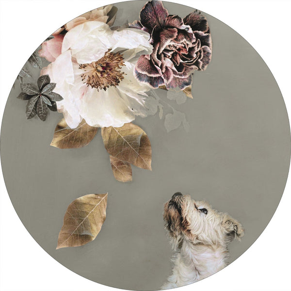 Haustier Couture 2 | CIRCLE ART