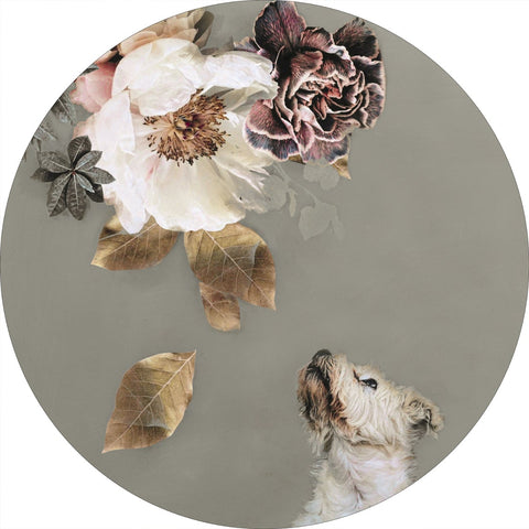 Haustier Couture 2 | CIRCLE ART