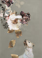 Haustier Couture 2 | POSTER
