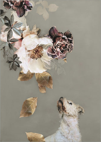 Haustier Couture 2 | POSTER